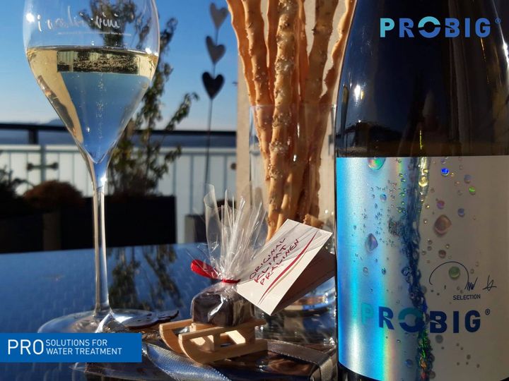 Probig wishes a good start into 2021!